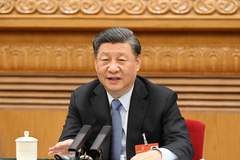 人民之心丨小菜篮,大民生