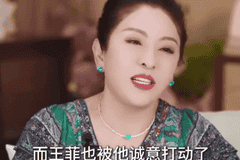 向太曝王菲被张嘉益打动 为唱好《主角》主题曲还练了秦腔