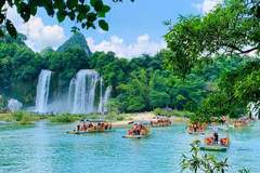 老牌旅行社 | 德天瀑布线路的【长期经营记录查询】说明