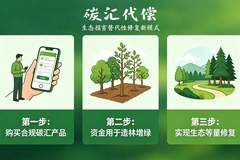从一罚了之到实质补绿,上海金山尝试企业购买碳汇承担环境损害责任