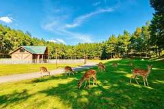 休闲又添新去处!辽源鹿鸣谷开园迎客