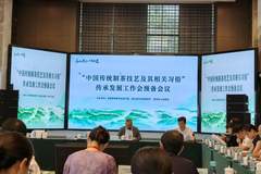 非遗茶香耀盛会|赵李桥茶厂受邀亮相全国传承发展交流活动