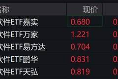软件概念股走强,软件ETF涨超3%
