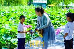 盛夏赏荷正当时，大明湖畔“荷花经济”悄然走红