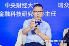 中央财经大学中国金融科技研究中心主任张宁:数智重构保险底层逻辑 行业垂类大模型建设引争议