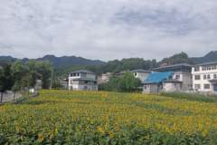 栾川山居:伏牛深处的半日闲