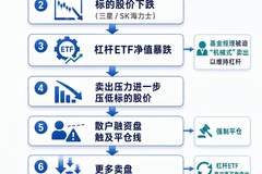 韩国散户围观者:AI芯片股崩溃,机械杠杆资金成了祸害