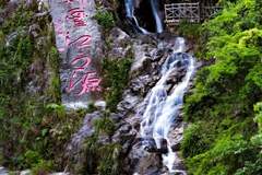 来新丰体验0.5倍速慢充之旅，享受悠闲夏日时光