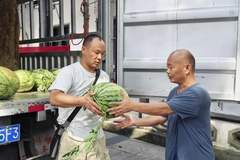 80后淮南小伙千里送1.3万斤西瓜 助农解困兼圆黄梅戏迷之约