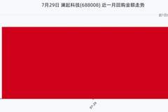 澜起科技7月29日回购股份50.00万股,耗资1.03亿元,近一月已累计回购1.03亿元