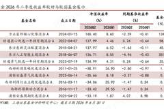TOP5主动权益基金单季度全部涨超130%！极致行情下首尾差100%，最会赚钱的基金经理集体看多这个方向，后市风险在哪？