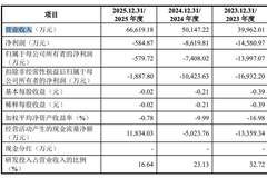 国仪公司明日申购 发行价21.22元/股 三年累亏超2亿却锚定2026扭亏 兆易创新子公司入局战略配售