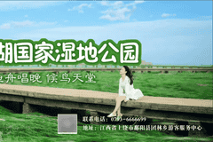 利川腾龙洞景区8月4日因防汛需求临时闭园 游客行程调整需留意