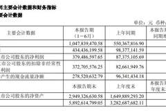 千亿龙头中报业绩暴增三倍！603256：终止6亿元电子布项目