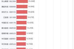 28股融资买入额超10亿元,包括中际旭创、长鑫科技、兆易创新、新易盛、亨通光电等