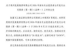 上交所：泉州发展集团有限公司债券8月21日上市，代码245874