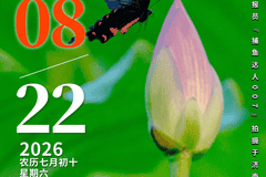 壹点日历8.22|解锁周末的诗意维度，让日常也能熠熠生辉