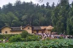 古志华：在 韶 山
