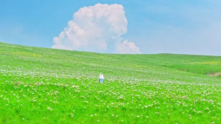 直飞仅2小时,海边度假新选择,暑期立刻安排上!