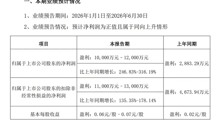 兴森科技:上半年归母净利润同比预增246.83%至316.19%