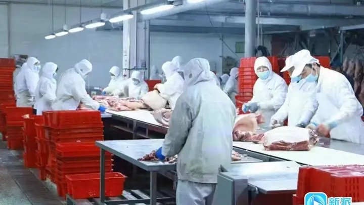 潍坊猪肉首次出口非洲 海外市场再添新版图