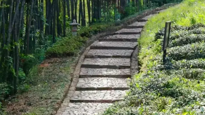 去浙8个避暑秘境“躺平”,专治各种“班味”与焦虑