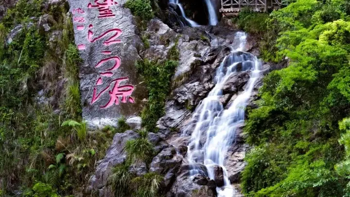来新丰体验0.5倍速慢充之旅，享受悠闲夏日时光
