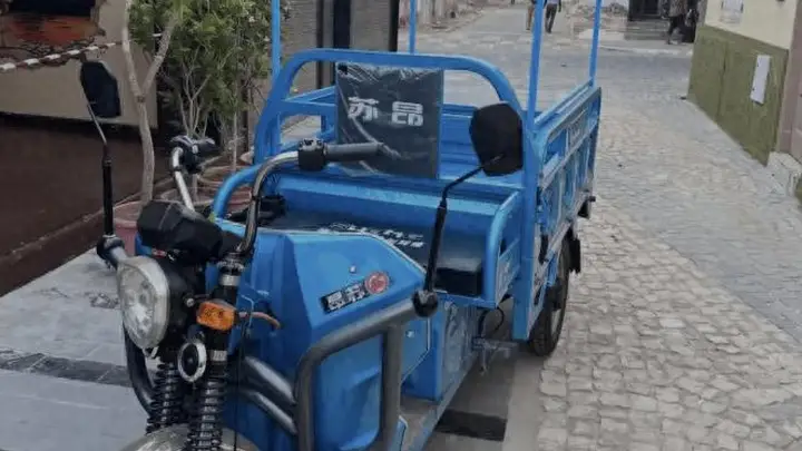 五十万人口小岛满街中国电三轮，中文语音成销量王牌，江苏小城撑起全球电三轮产业命脉