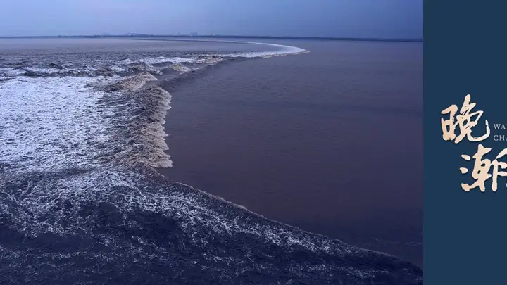 夏日开胃小菜有门道 麻油芋艿蕻配冬瓜糊腌凤仙梗风味独特