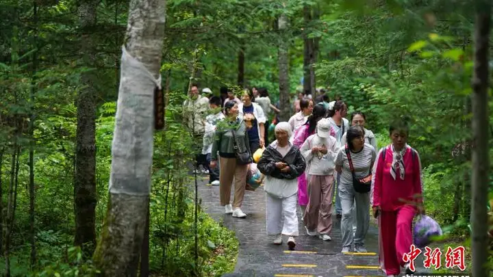 22℃清凉气候加持 汤旺河林海奇石景区成今夏避暑游热门打卡地
