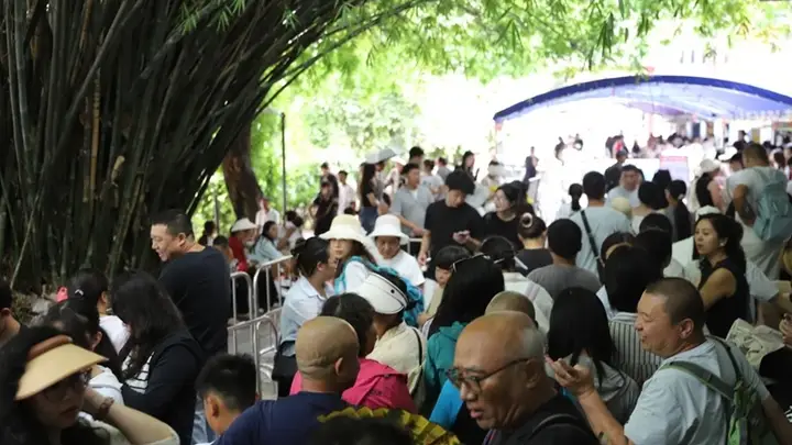 避暑季黔灵索道日均接待6000人次 成贵阳避暑旅游亮眼打卡点