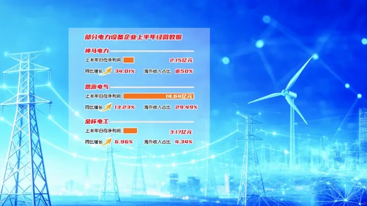 海内外业务共振 电力设备产业景气度提升