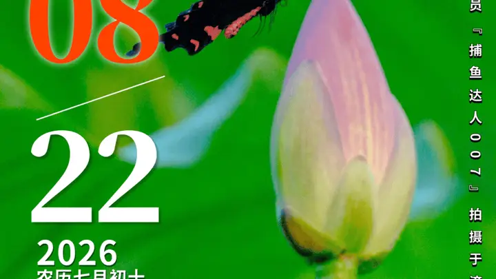 壹点日历8.22|解锁周末的诗意维度，让日常也能熠熠生辉